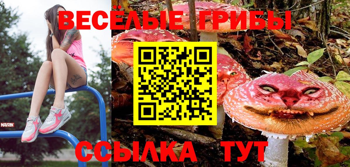 Гашиш Черкесск