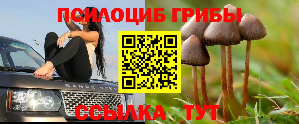 Псилоцибиновые грибы Cubensis  Вход с VPN  Псилоцибиновые грибы Cubensis  Черкесск 